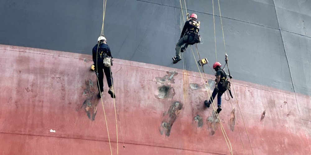 20241031_014518921_iOS