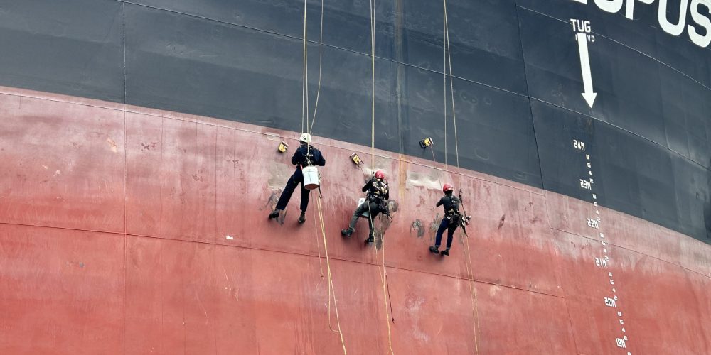 20241031_015852289_iOS