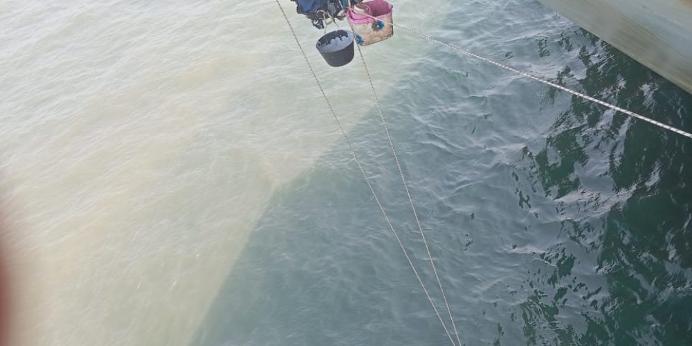 WhatsApp Image 2024-03-18 at 13.06.12_a0506ed4